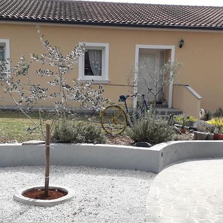 Apartment Andjel Poreč Exteriör bild
