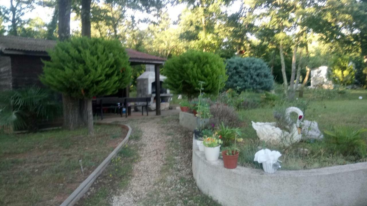 Apartment Andjel Poreč Exteriör bild